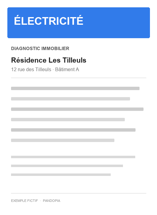Rapport électricité