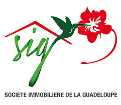 Logo Sig